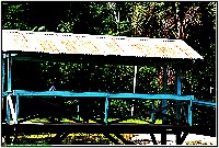 Plonsen - nr. 0063